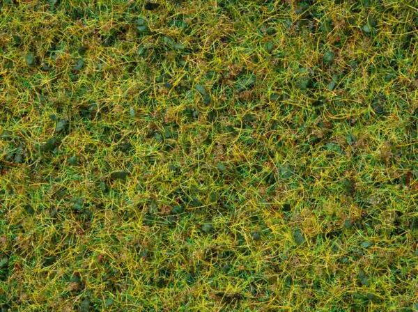 Noch 07073 Master Grass Blend Cow Pasture, 2.5 - 6 mm