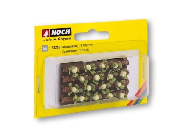 Noch 13216 Cauliflowers