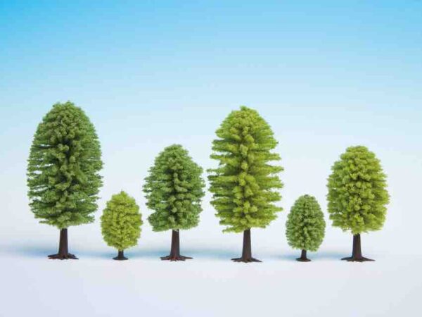Noch 26901 Deciduous Trees