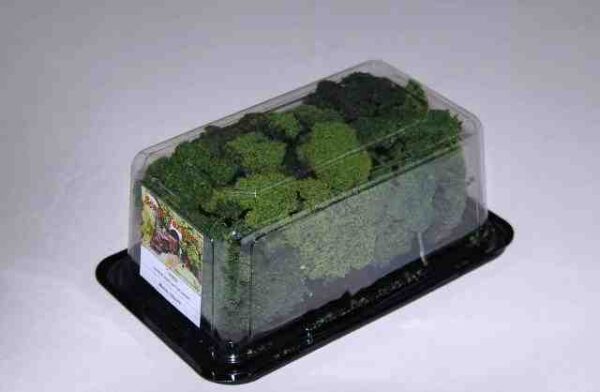 Scenic Textures T1 Random size Yarrow Pieces, Mixed colours