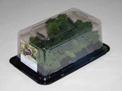 Scenic Textures T3 Yarrow Trees 8-11 cm, 7 Mixed colours