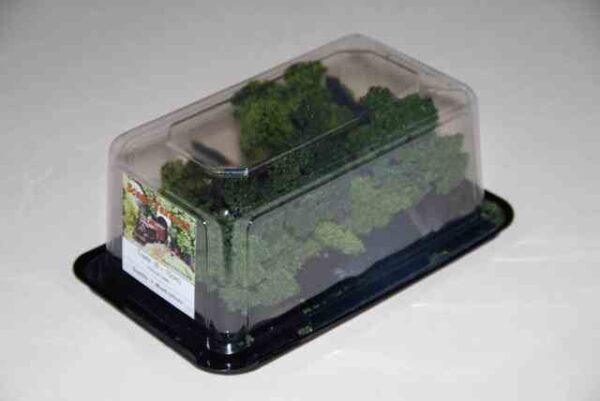 Scenic Textures T3 Yarrow Trees 8-11 cm, 7 Mixed colours