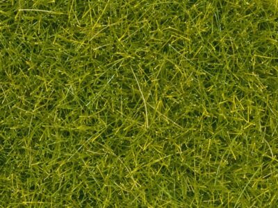 Noch 08363 Scatter Grass, Light Green