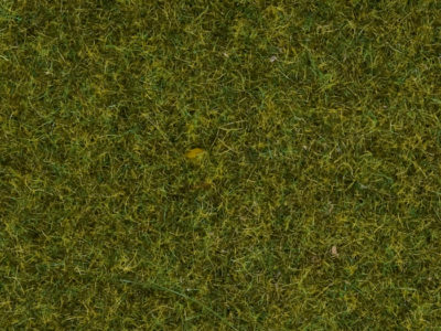 Noch 07117 Wild Grass “meadow”, 9 mm, 50 g Bag