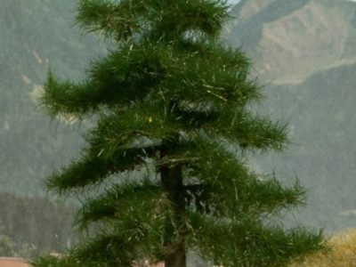 Noch 21810 Nordmann Fir Tree, 12 cm high