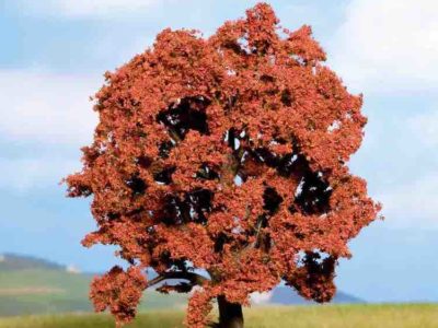 Noch 21730 Copper Beech, 13 cm high, HO & OO, N scales